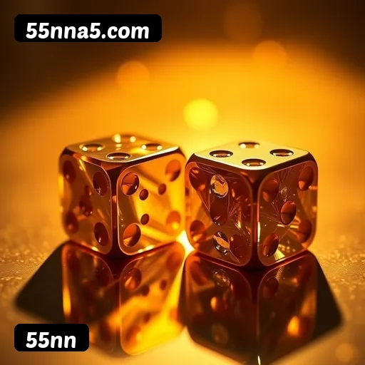 Níveis do programa VIP da 55nn